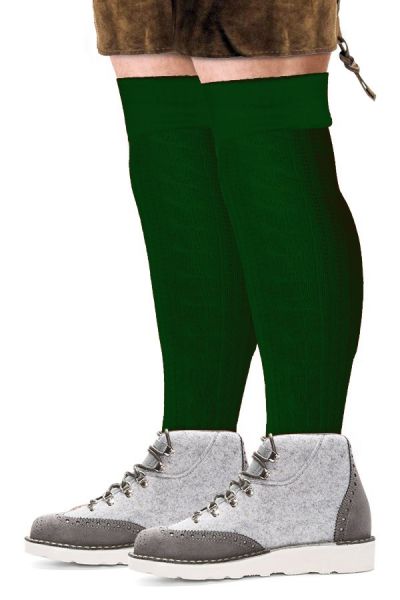 Oktoberfest Tiroler sokken lang groen